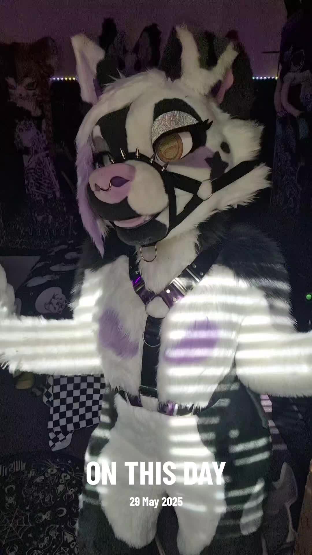 @Bailey (lilpixiekitten)