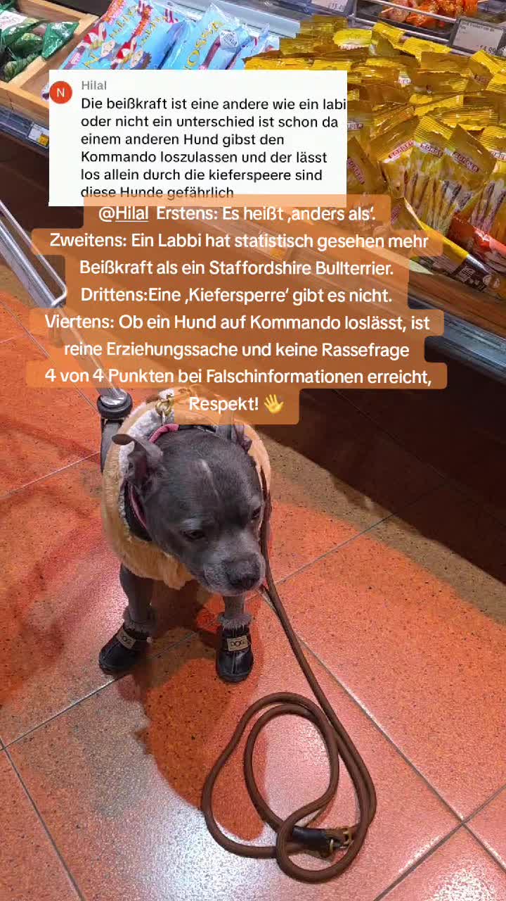 @Zara Alukanija Kiyomi 🐕🐾