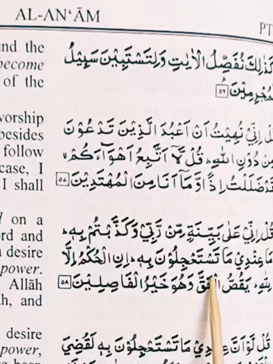 @Quran's Faizan