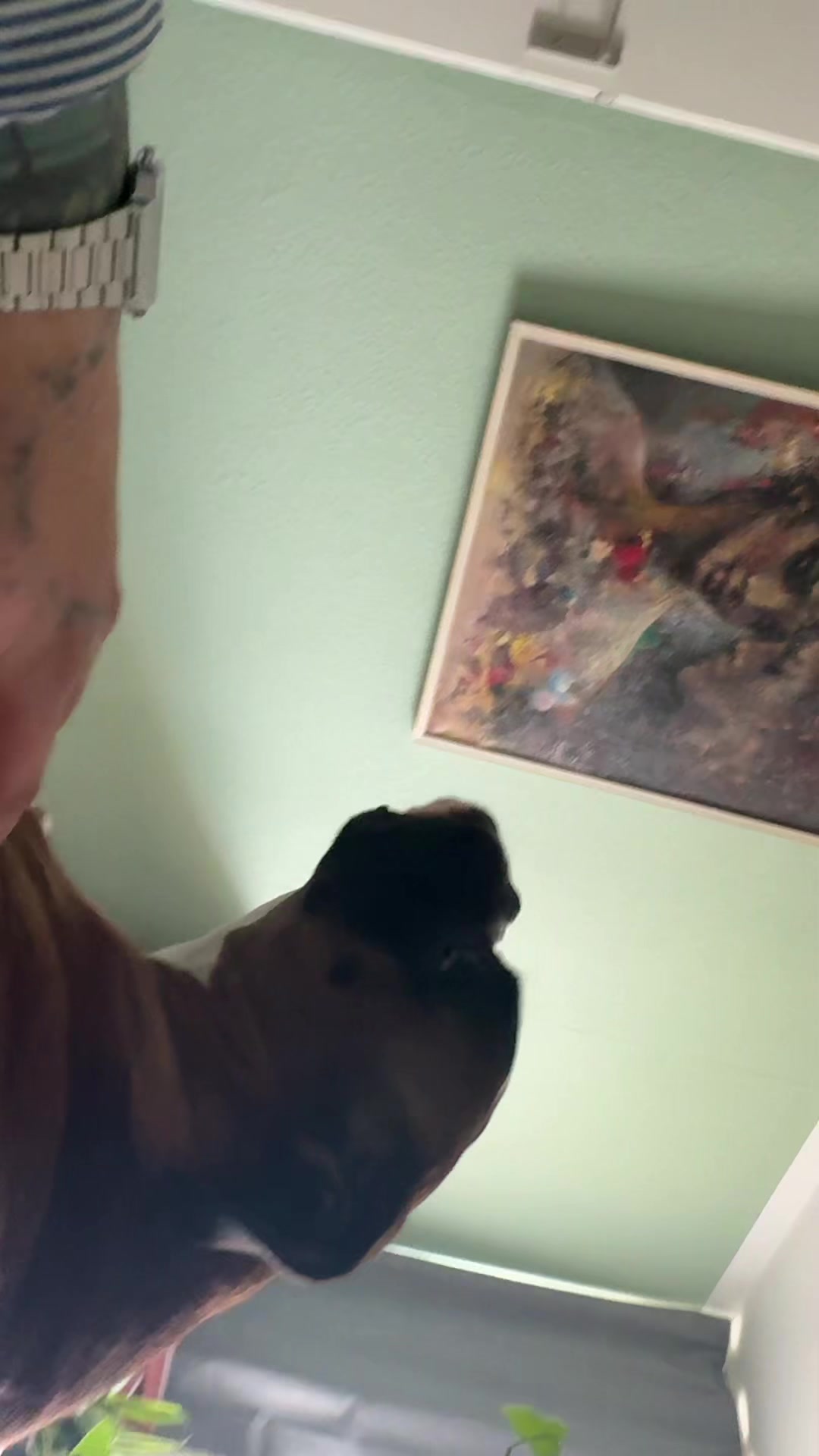 @TypischDori