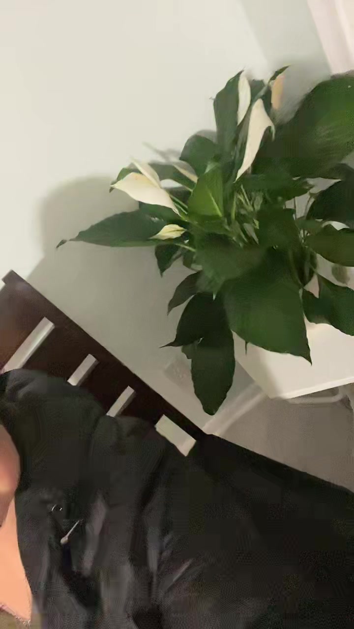 @Erika Marroquin 🇬🇹