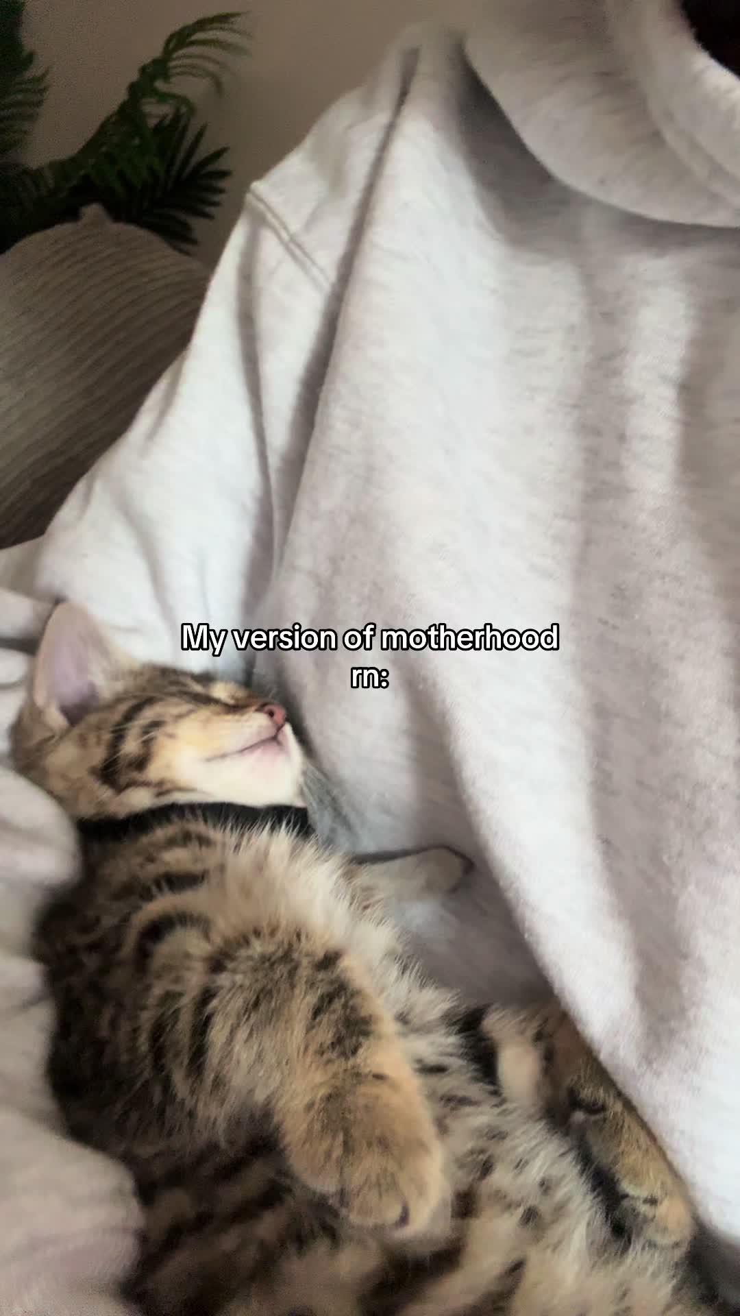 @𝒮𝒽𝒾𝓃𝓈.
