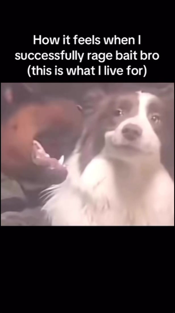 @MidnightDoseOfInternet
