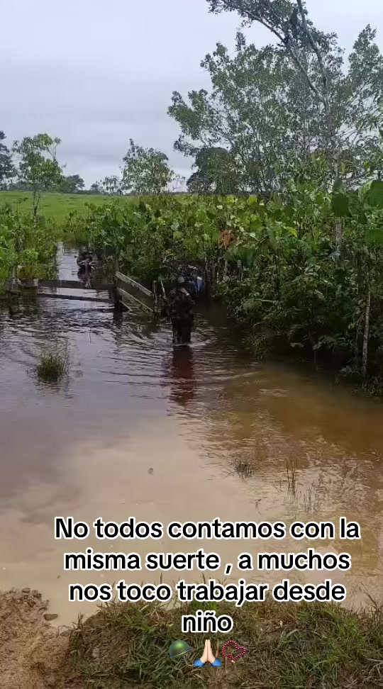 @ËËl militar ese21