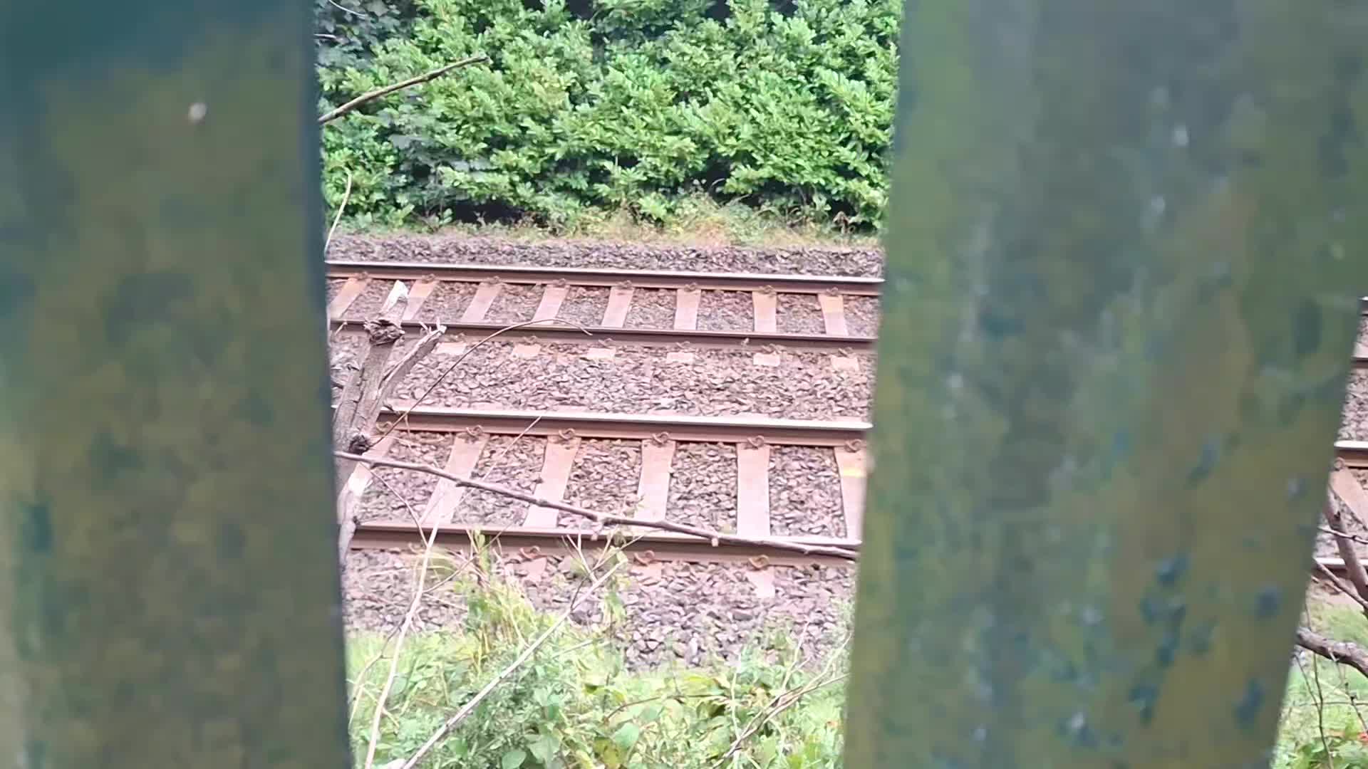 @level trains