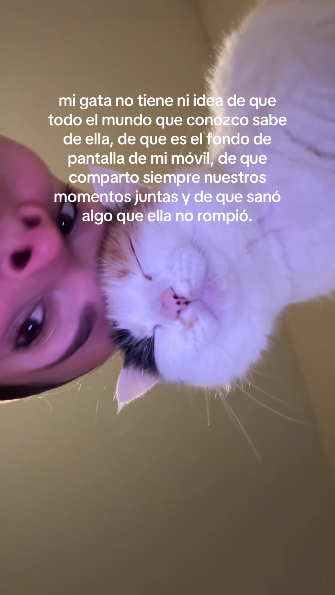@paula