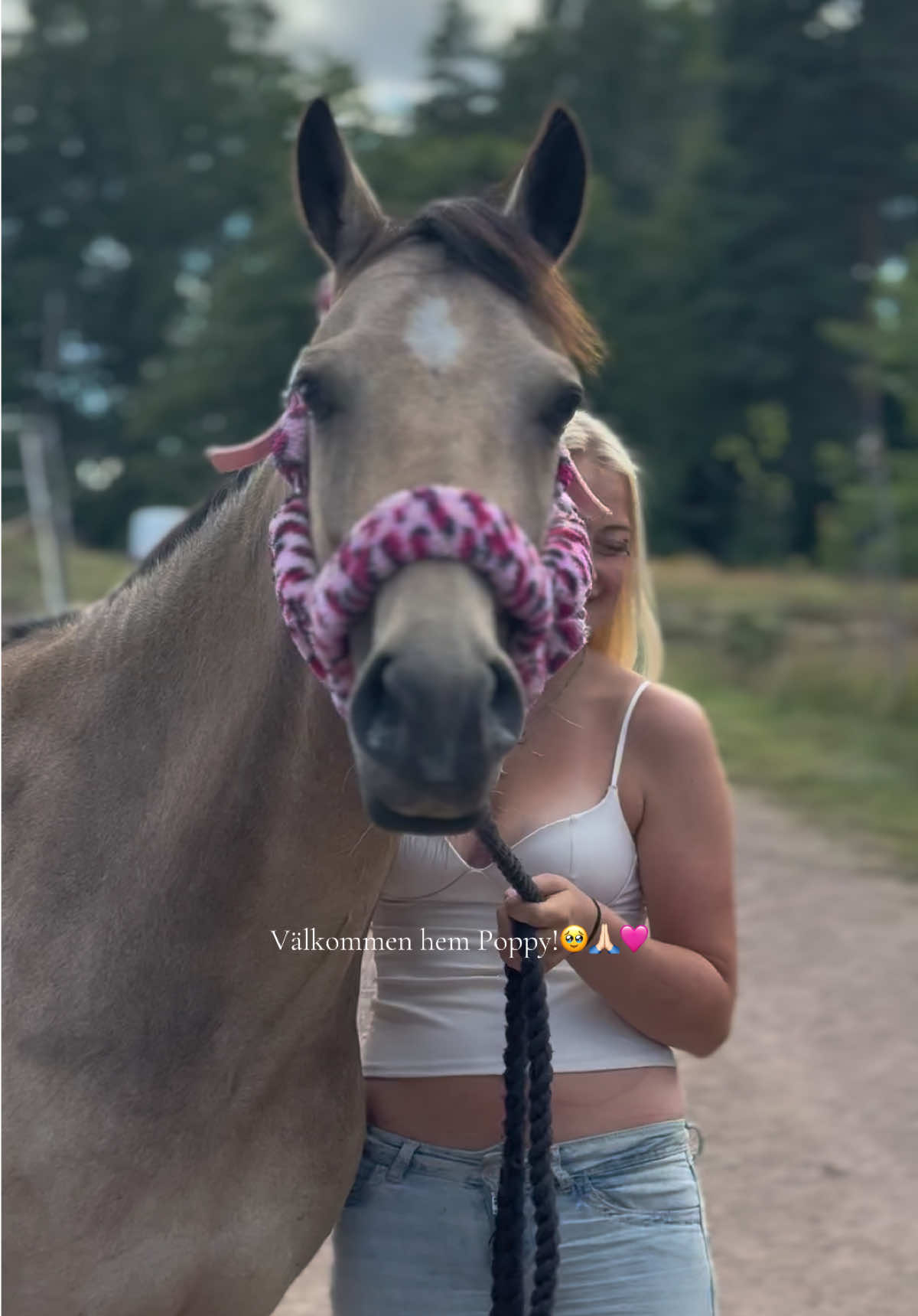 @🇸🇪Team Alslycka🇸🇪