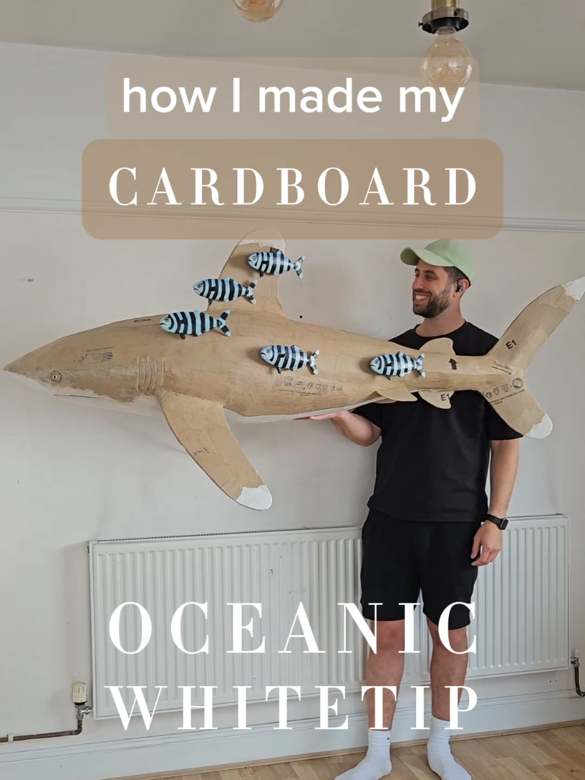 @Josh Gluckstein- Cardboard Art