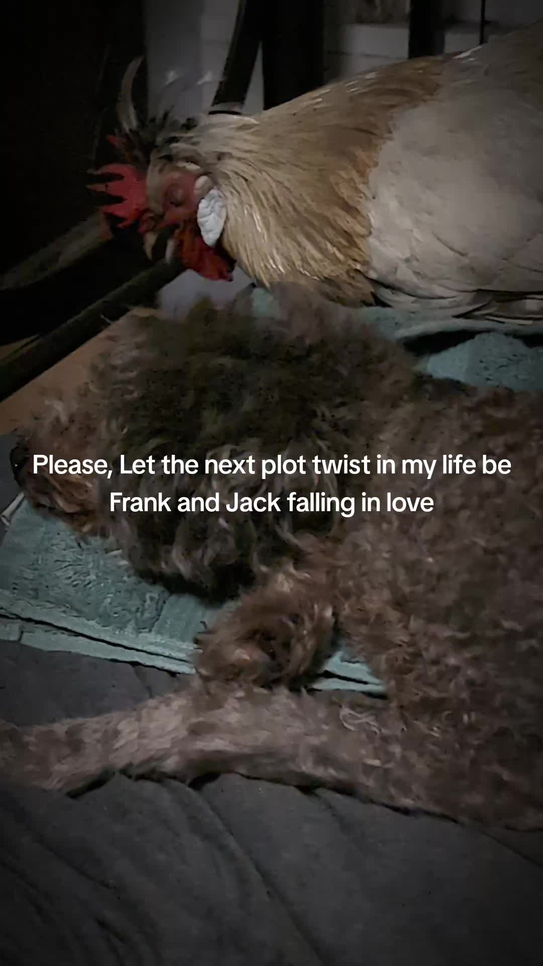 @Totemdreamstarot