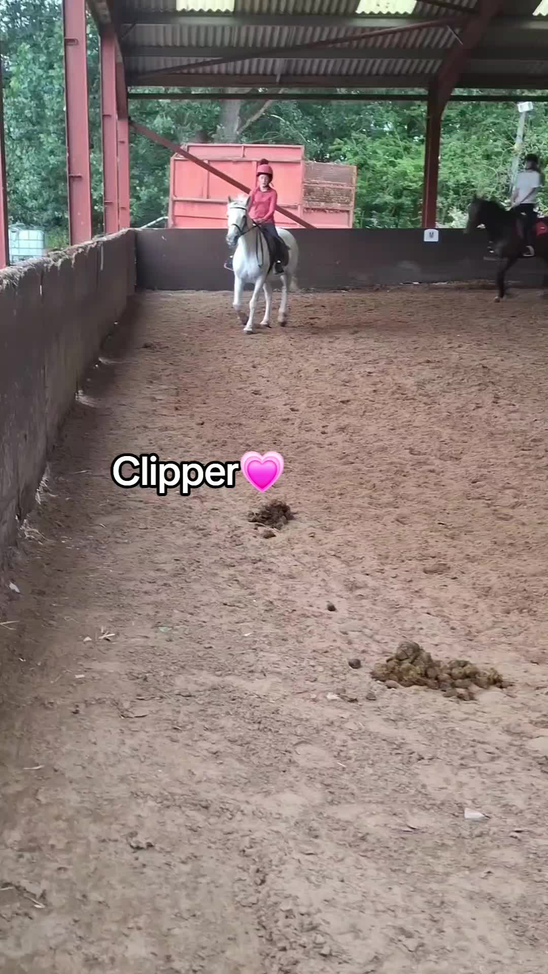 @Scarlett🐴🌾