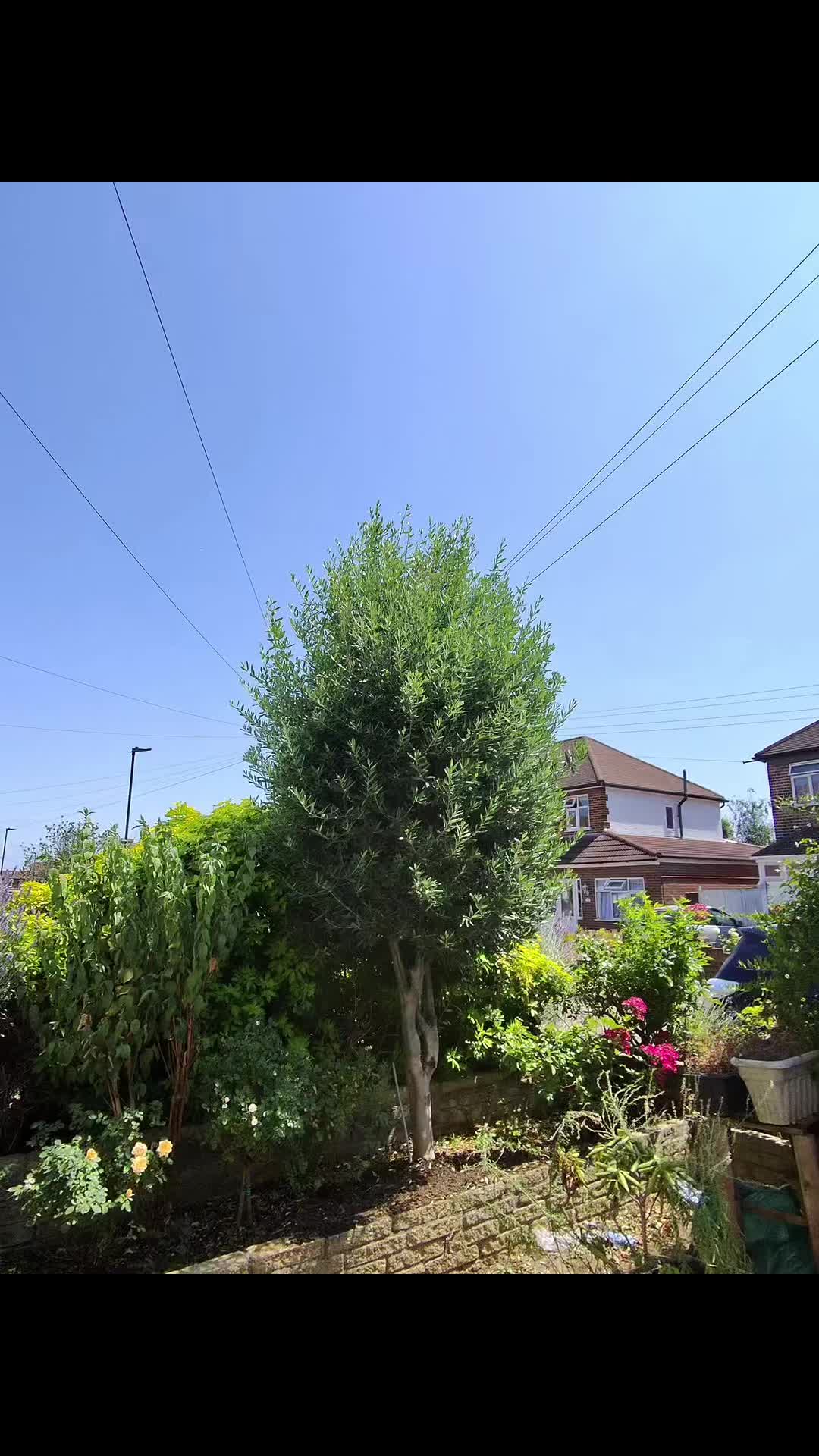 @carterslandscapes