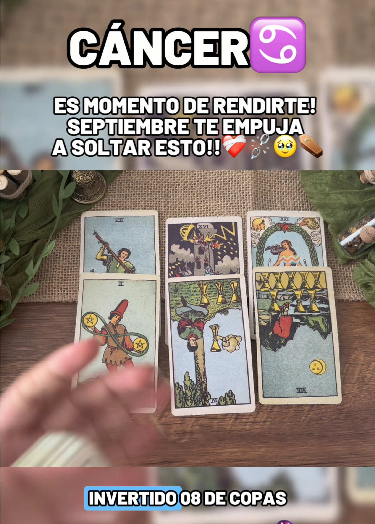 @Andy Sun Tarot ☀️