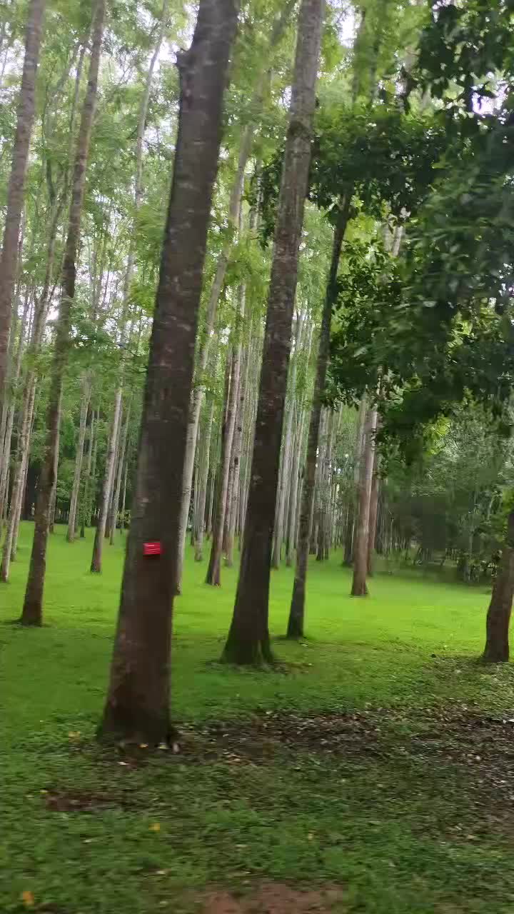 @Mei vagyok