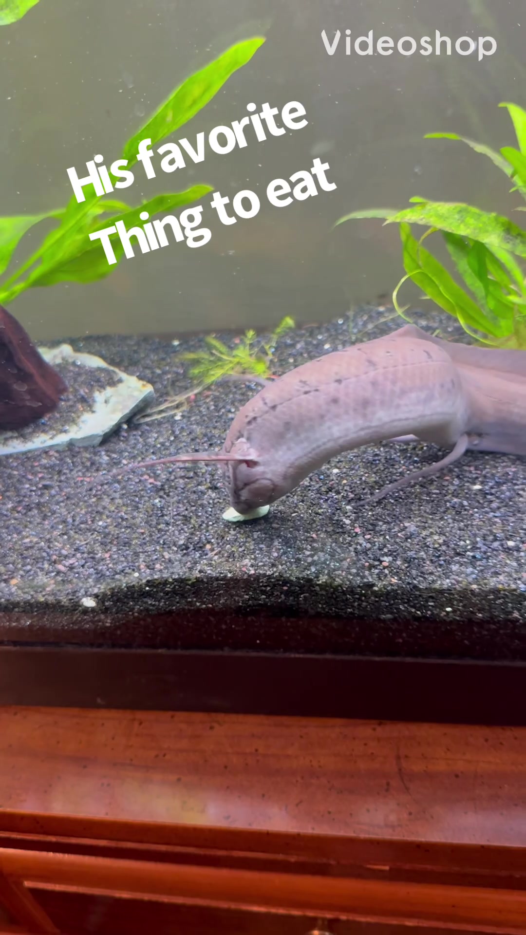 @fishdaddy2002