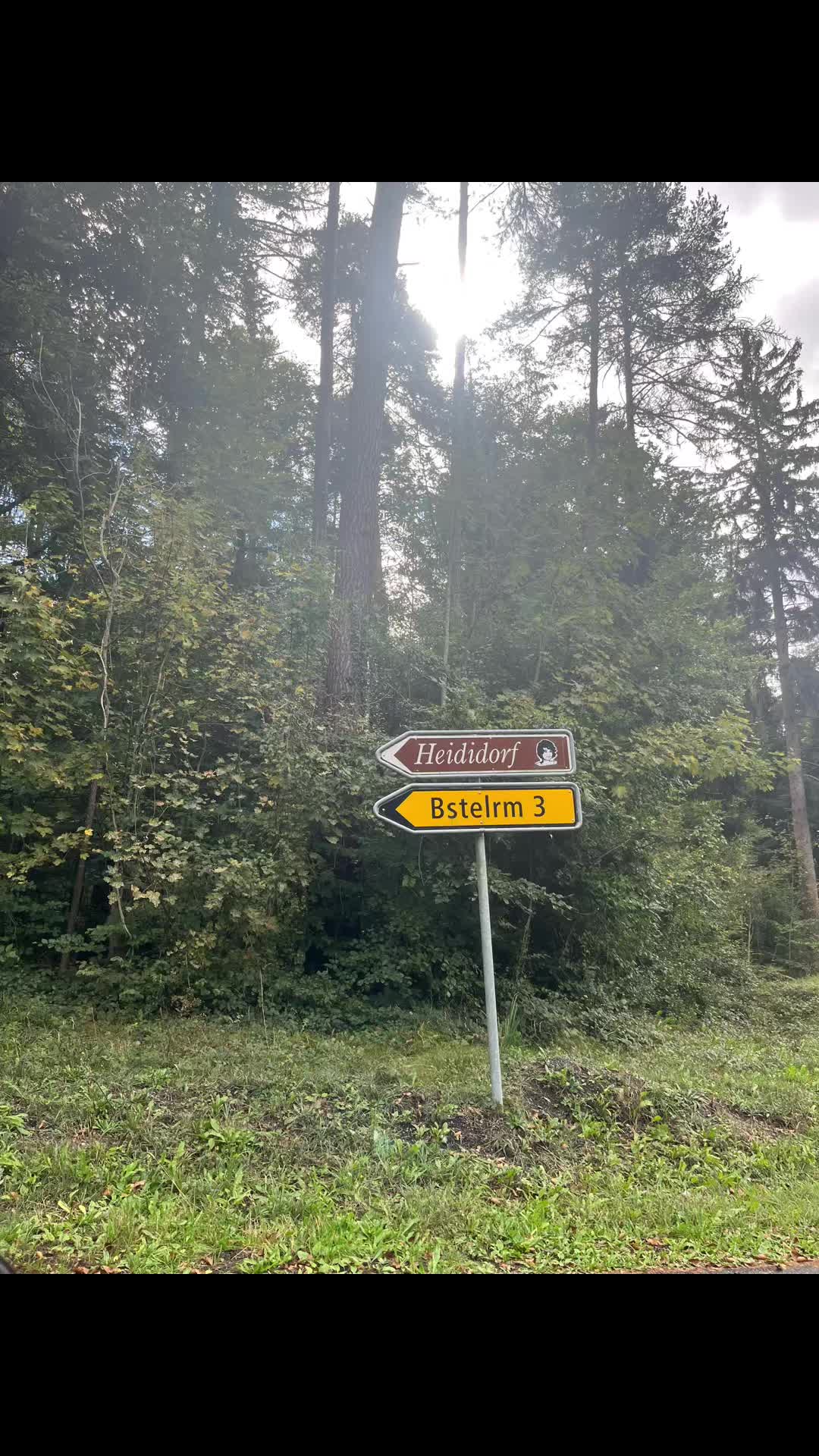 @marii