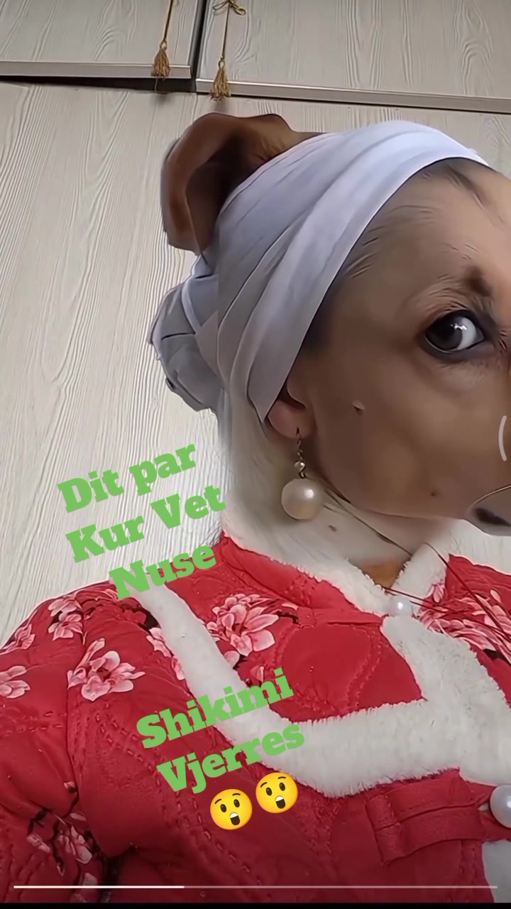 @Gerti