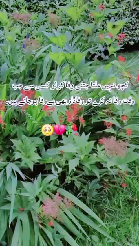 @Hina Khan
