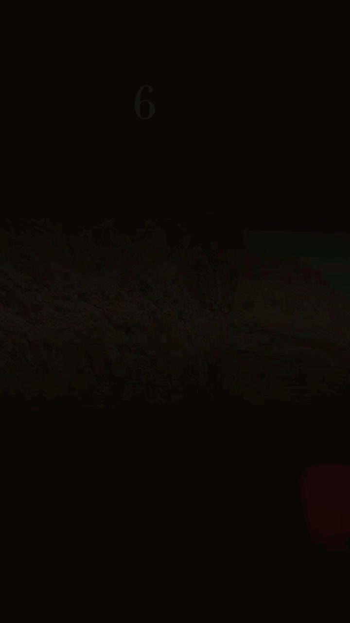 @🦌🖤