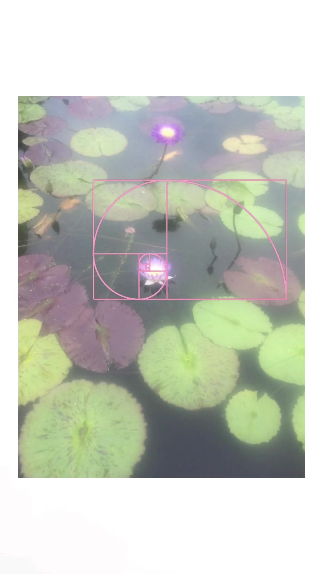 @.ೃ ⭐️ ࿔*: