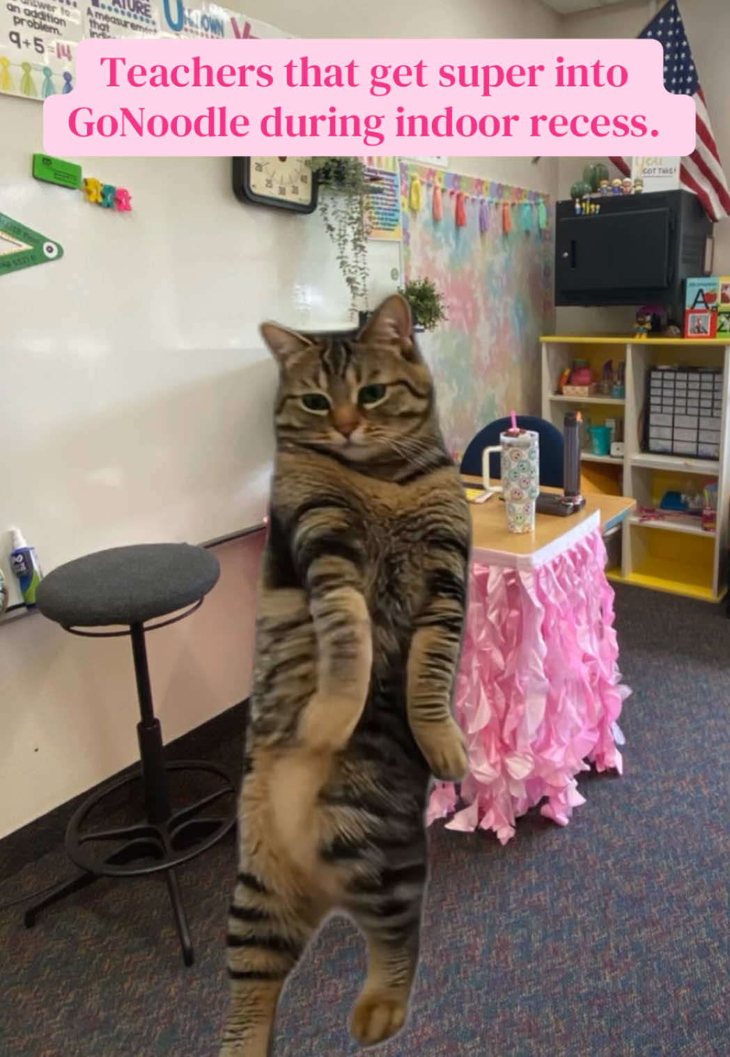 @🍎 Tara • Teacher Life
