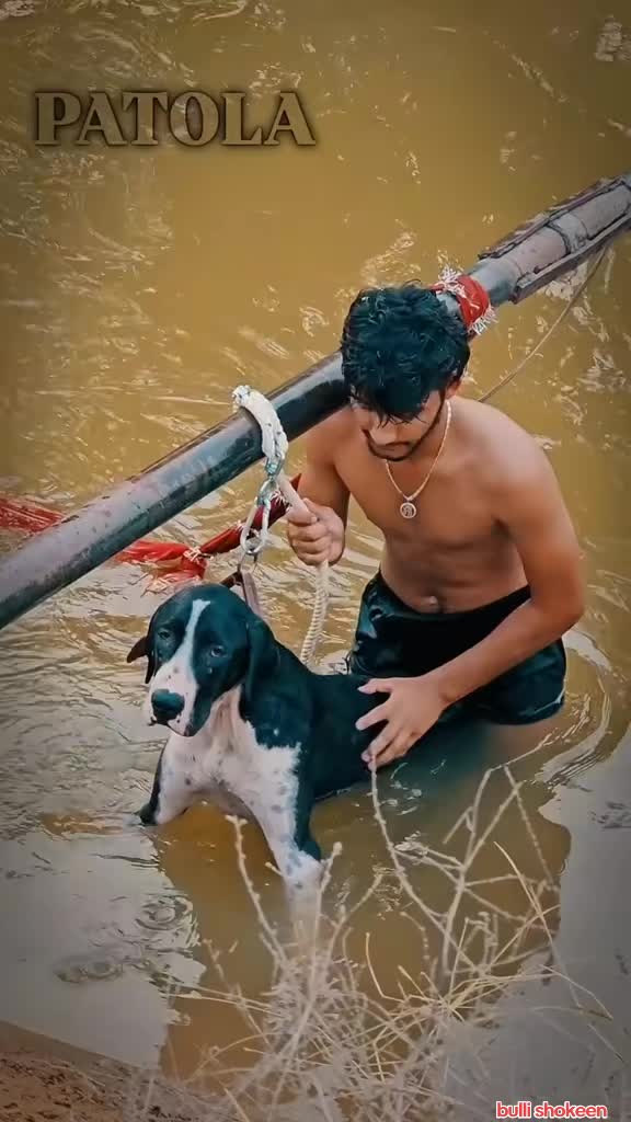 @bullishokeen2