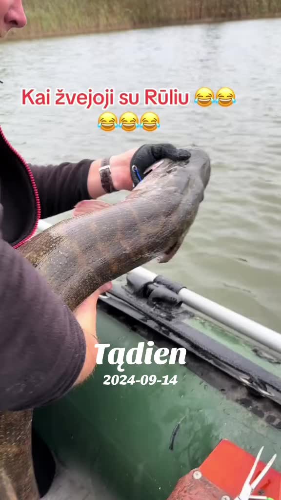 @Rolandas Stonkus