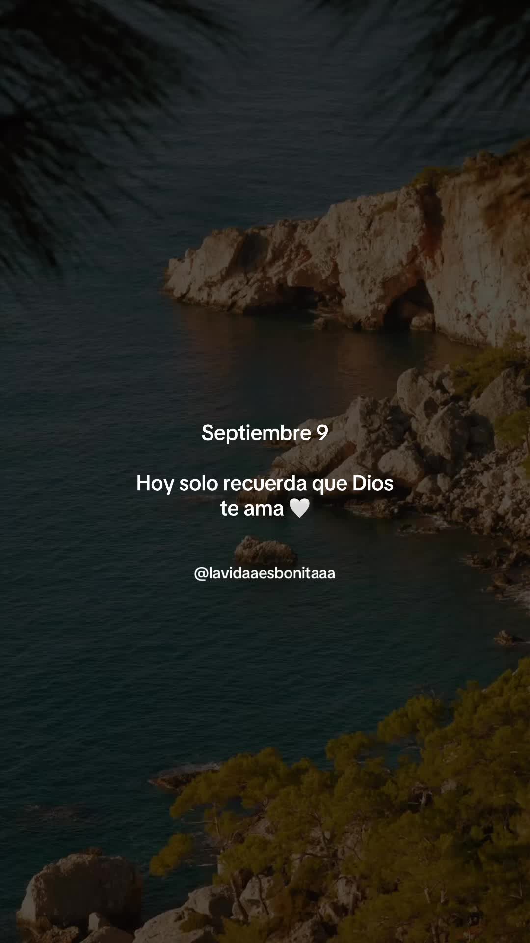 @vidabonita❤️🩹