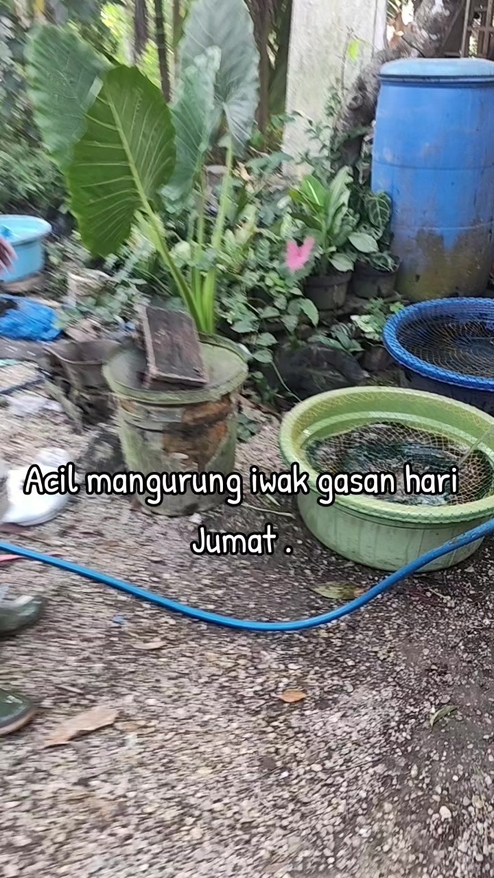 @warung katupat acil ella