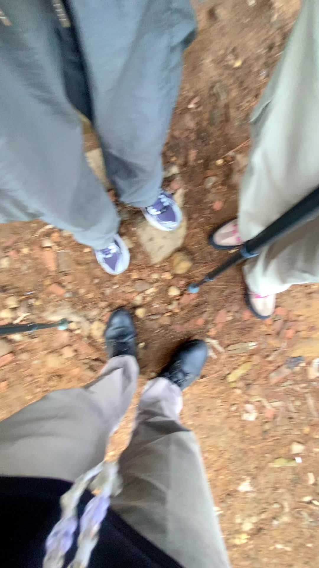 @🍄