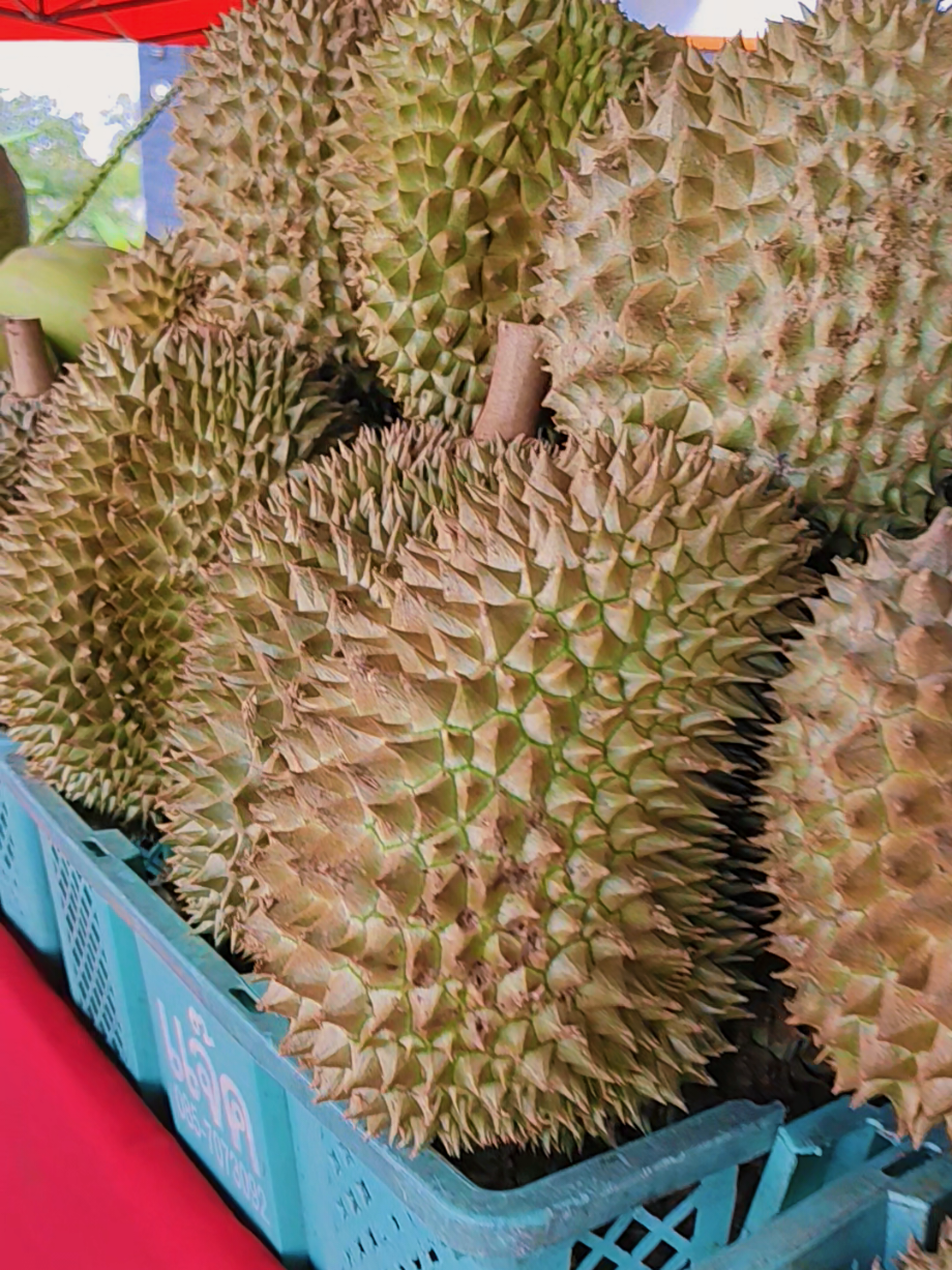 @ครูหนุ่ย