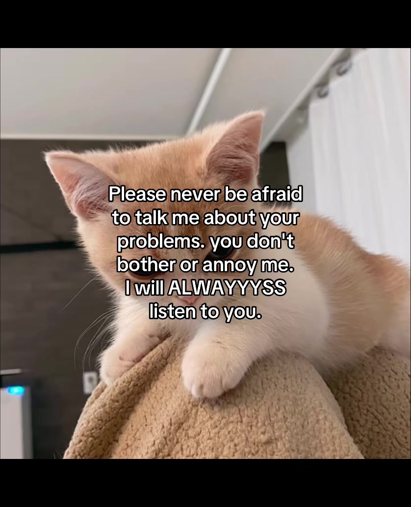 @deep.meow