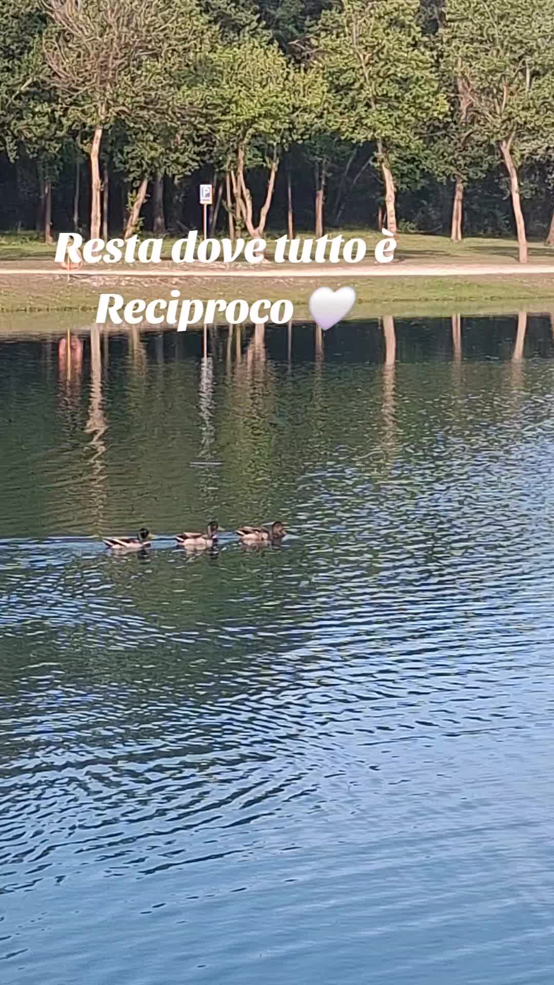 @Rosy73
