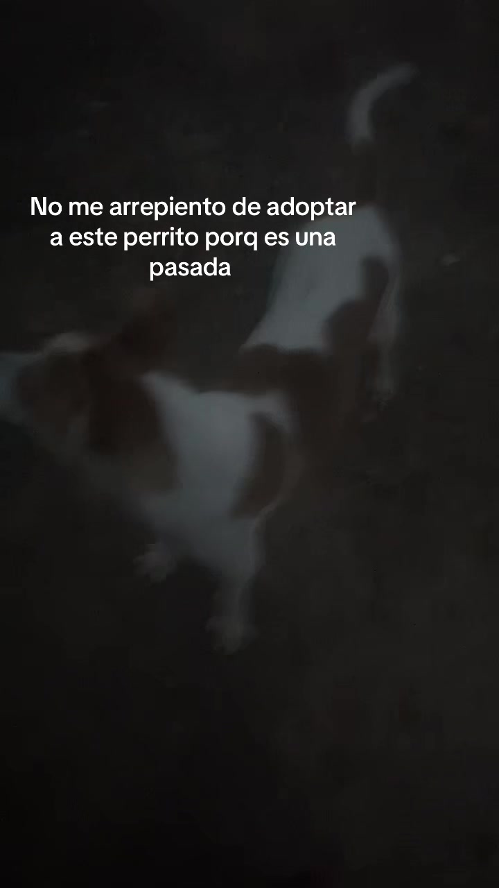 @Isabel la gitana