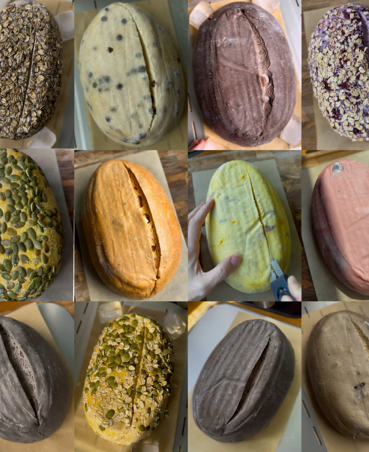 @Shebakesourdough