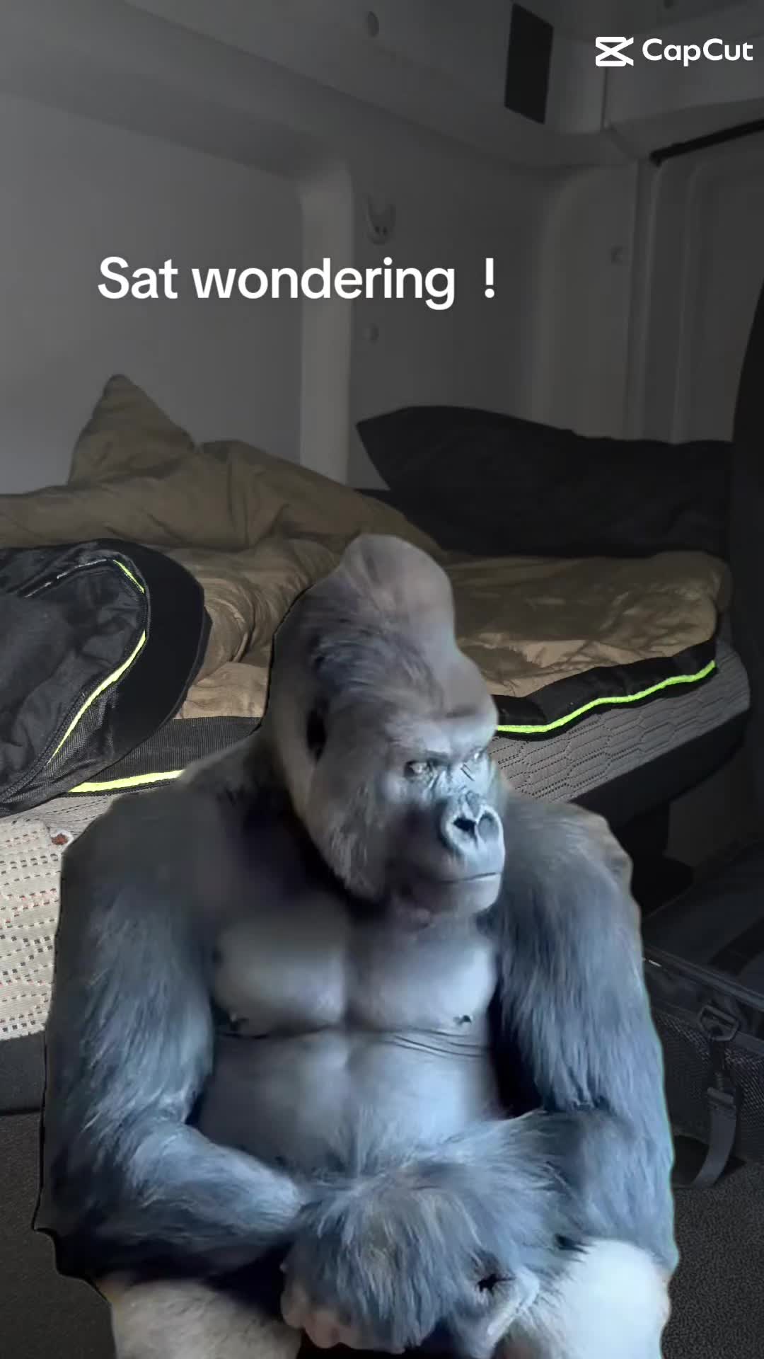 @Dobbo