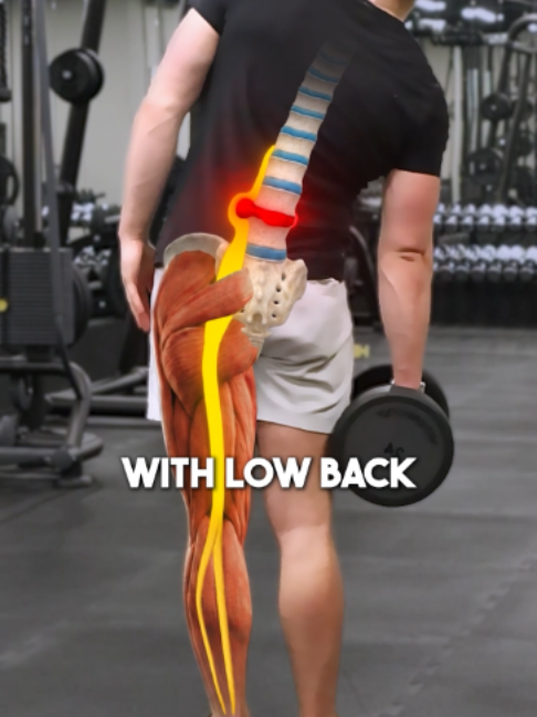 @Recover Pain