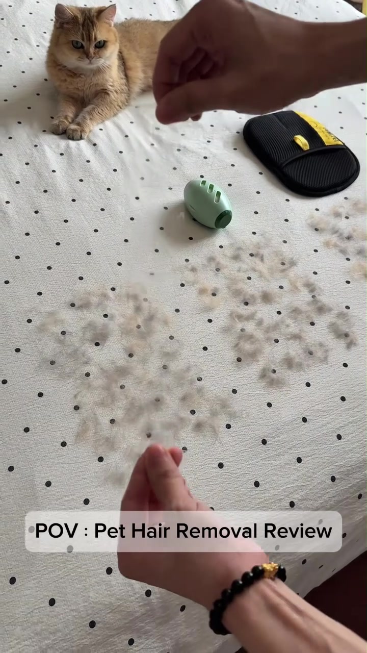 @lklkgfgf62