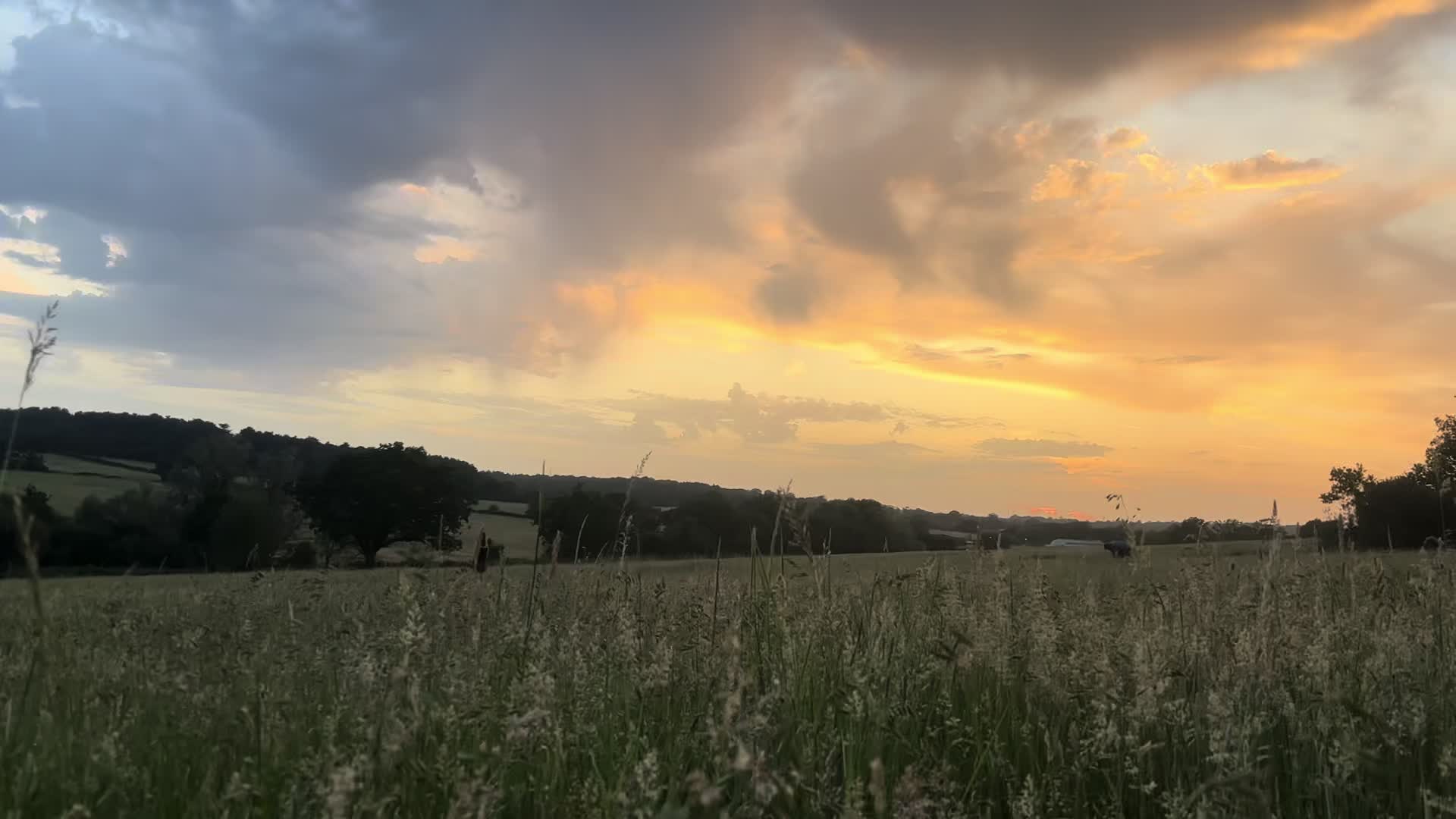 @jos