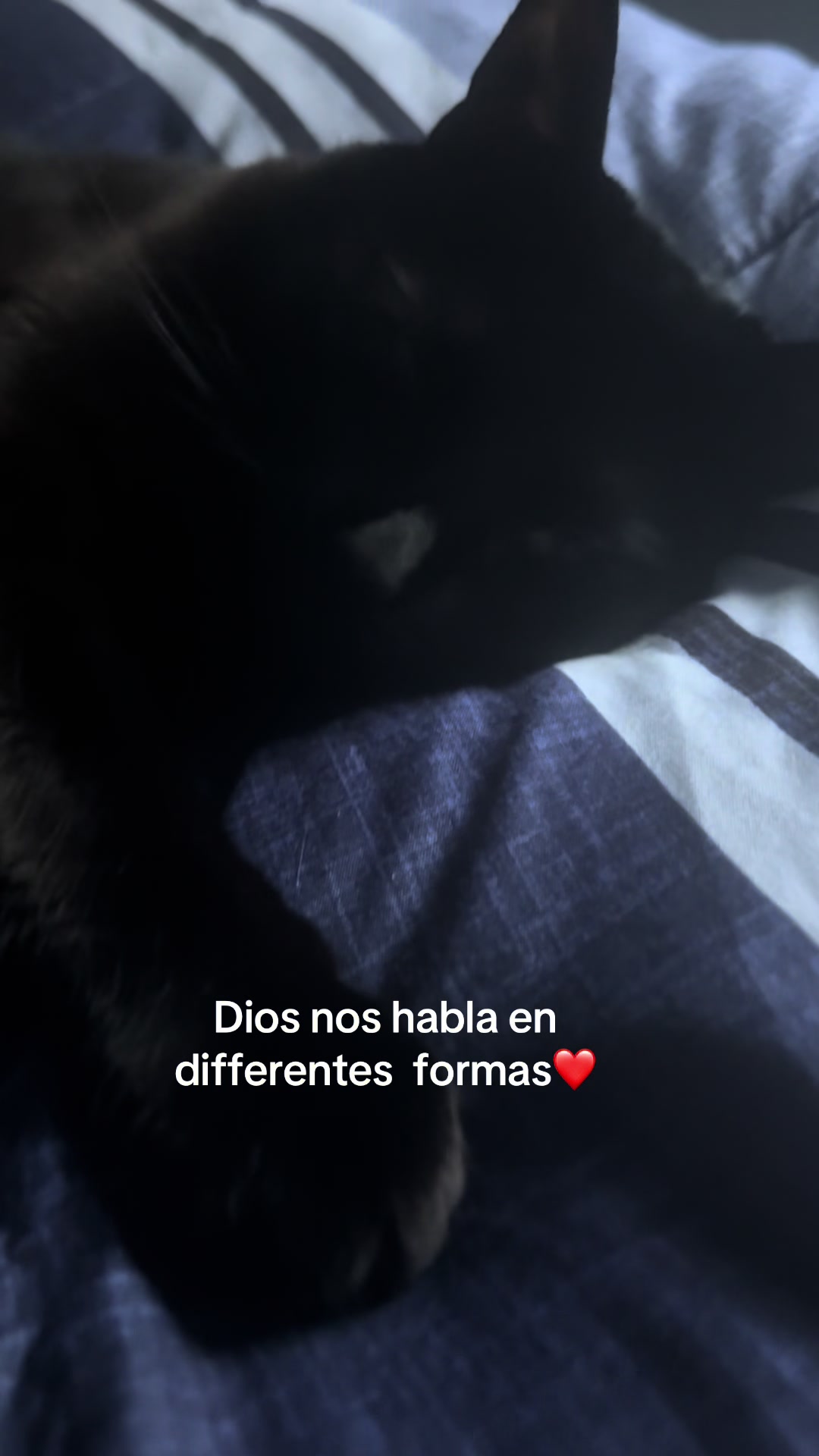 @Juana Rivera