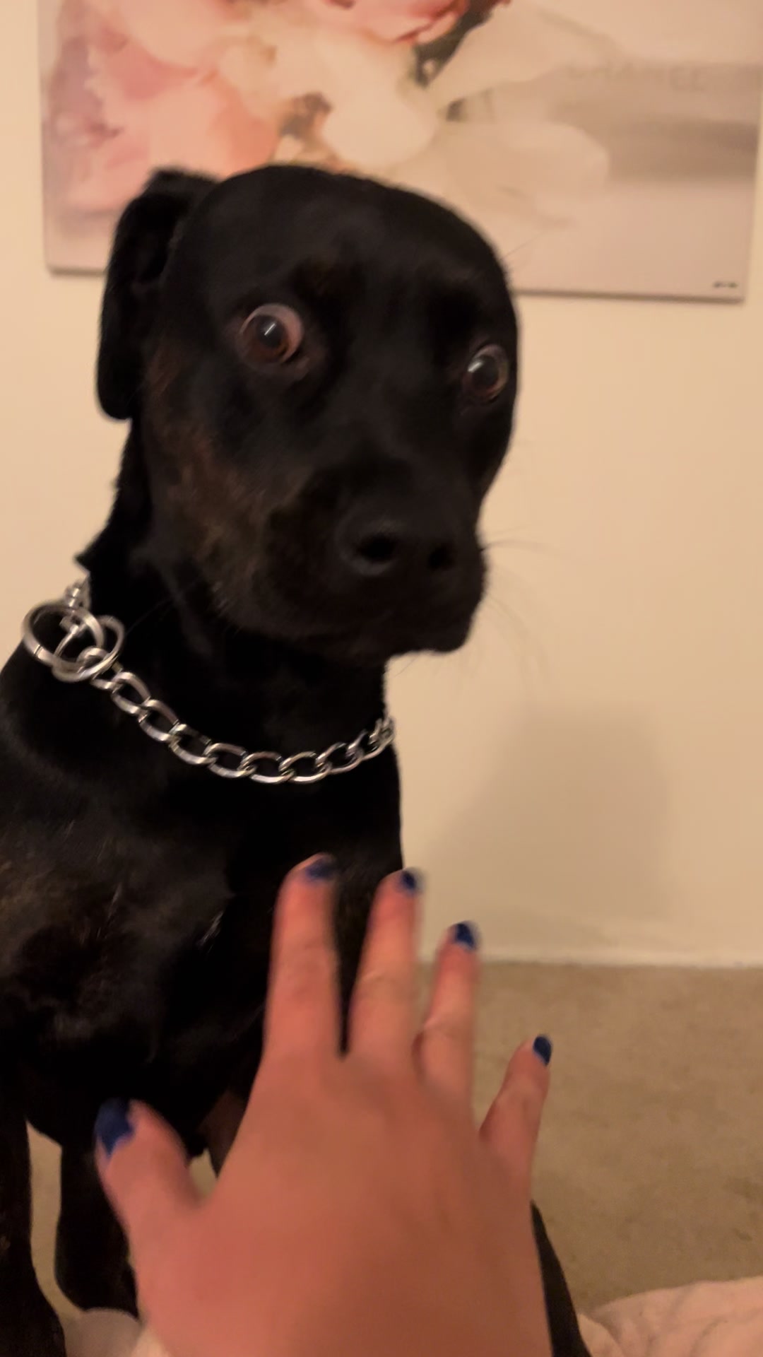@Natasha