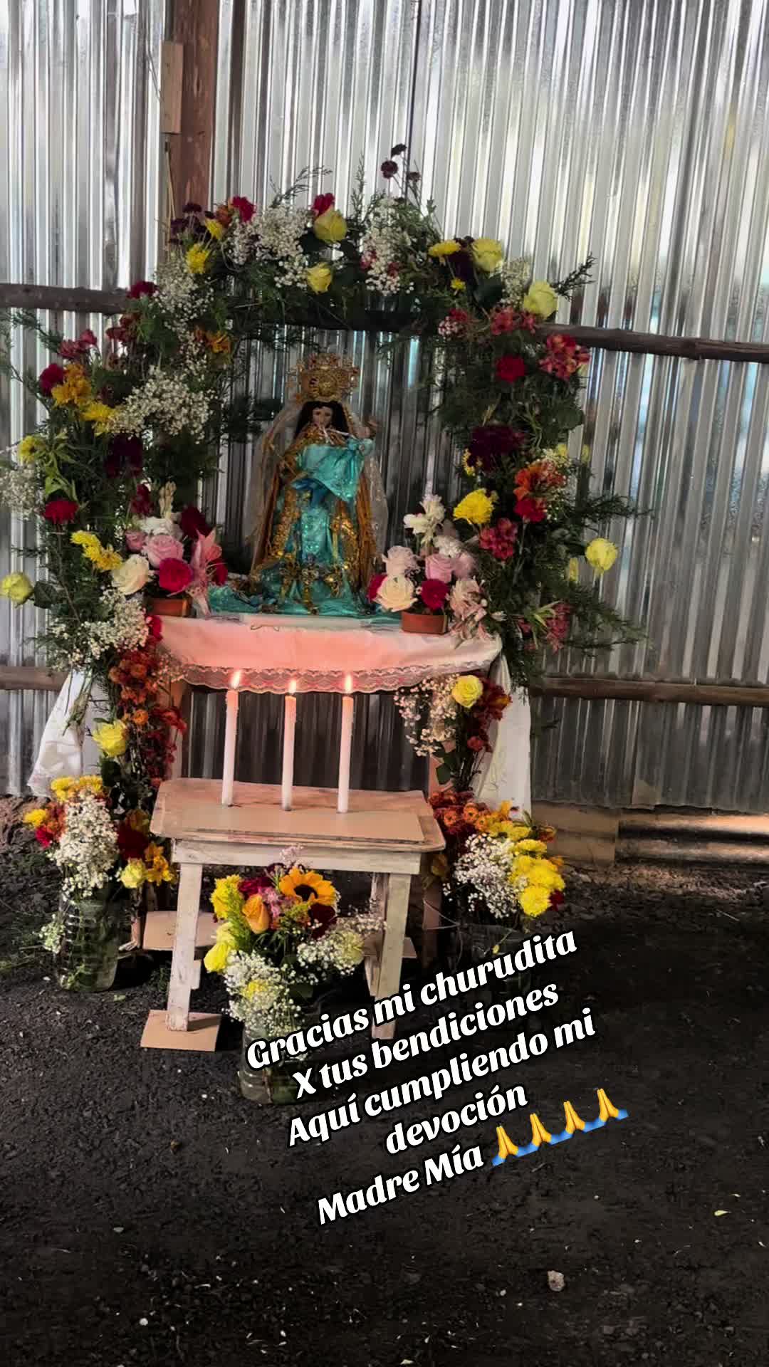 @Carpentry🪚🇪🇨reina.del.cisne
