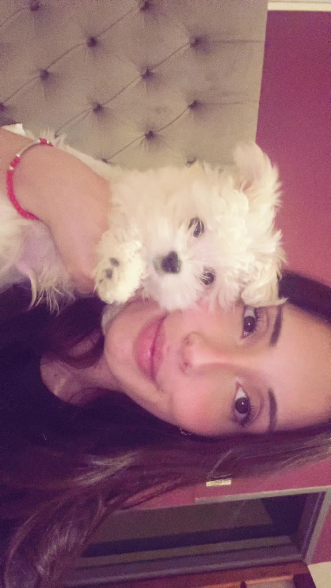 @camidelucaok