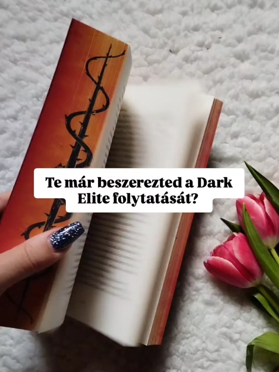 @Evi's bookish corner