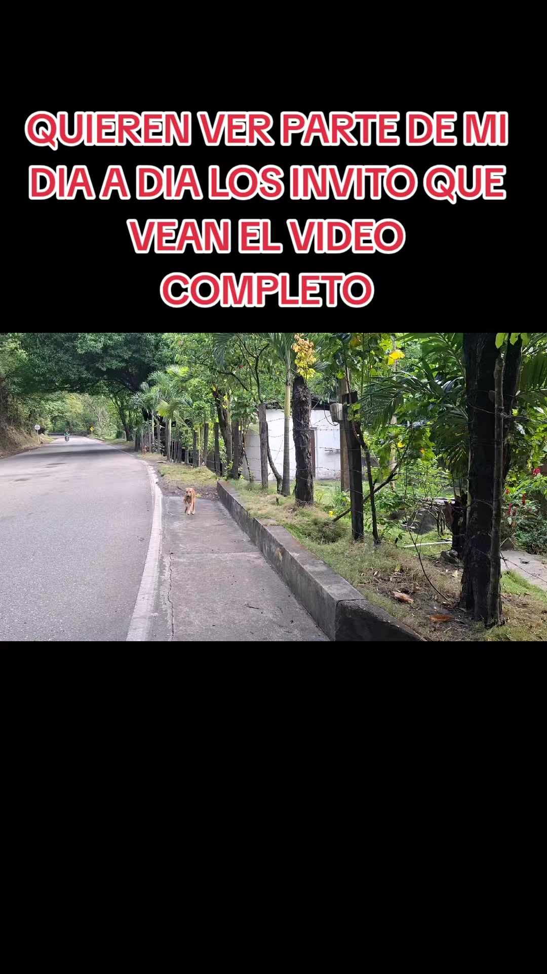 @ARIAS RESCATA