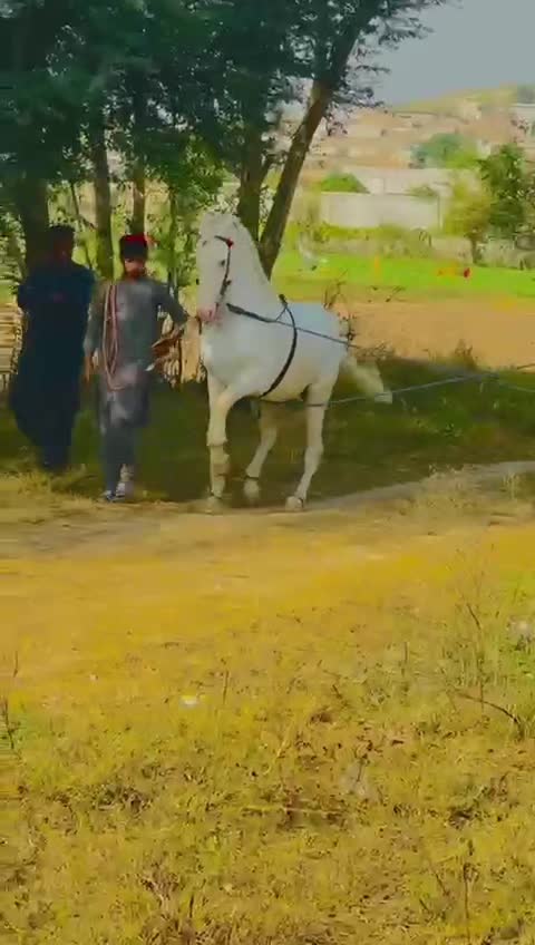 @majid Ƙàțàřîŷå