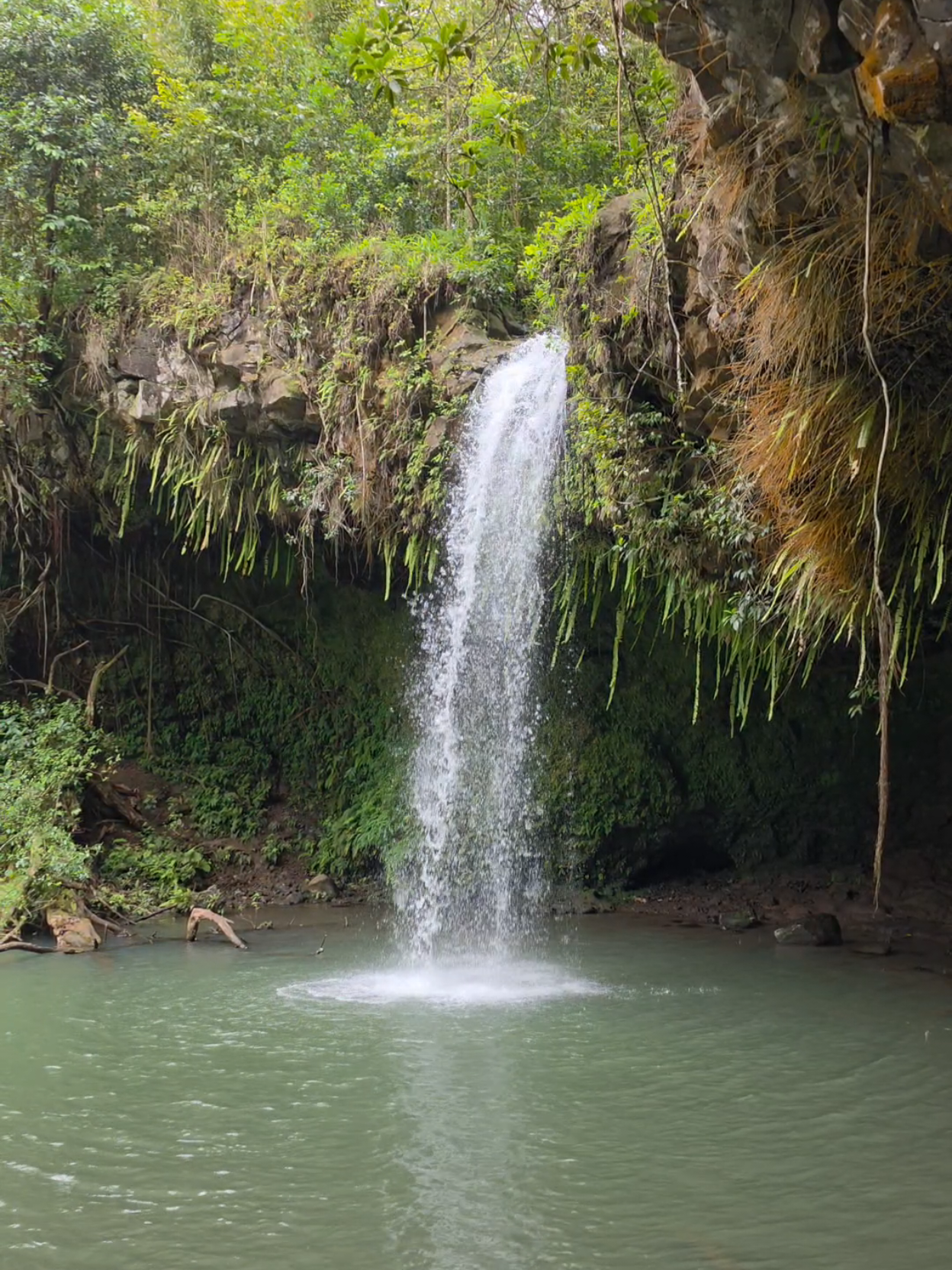 @Hike Maui