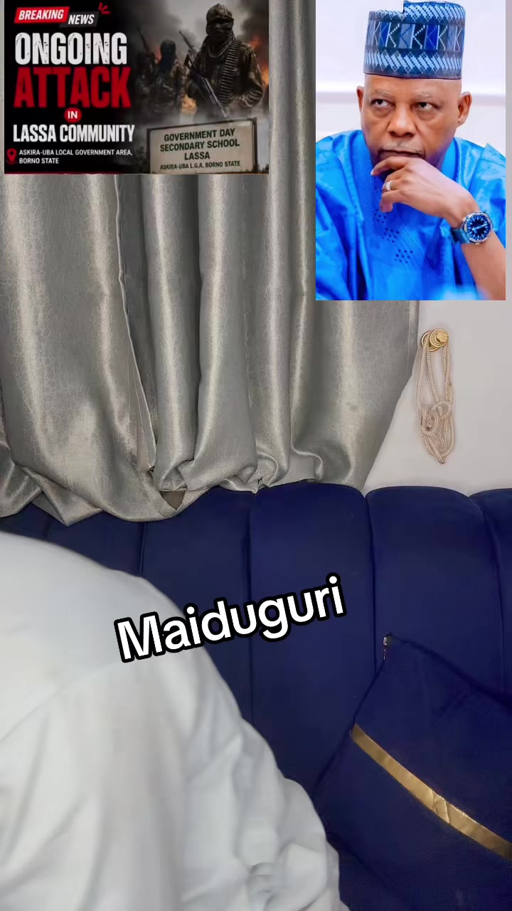 @ali_tallafi