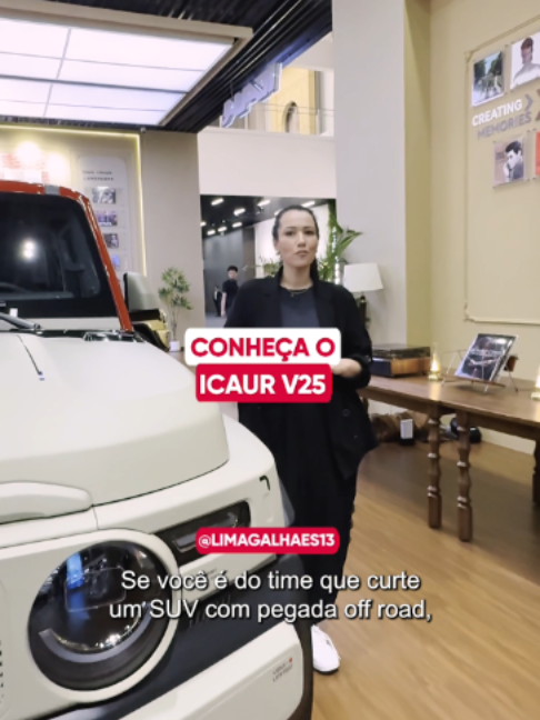 @Webmotors