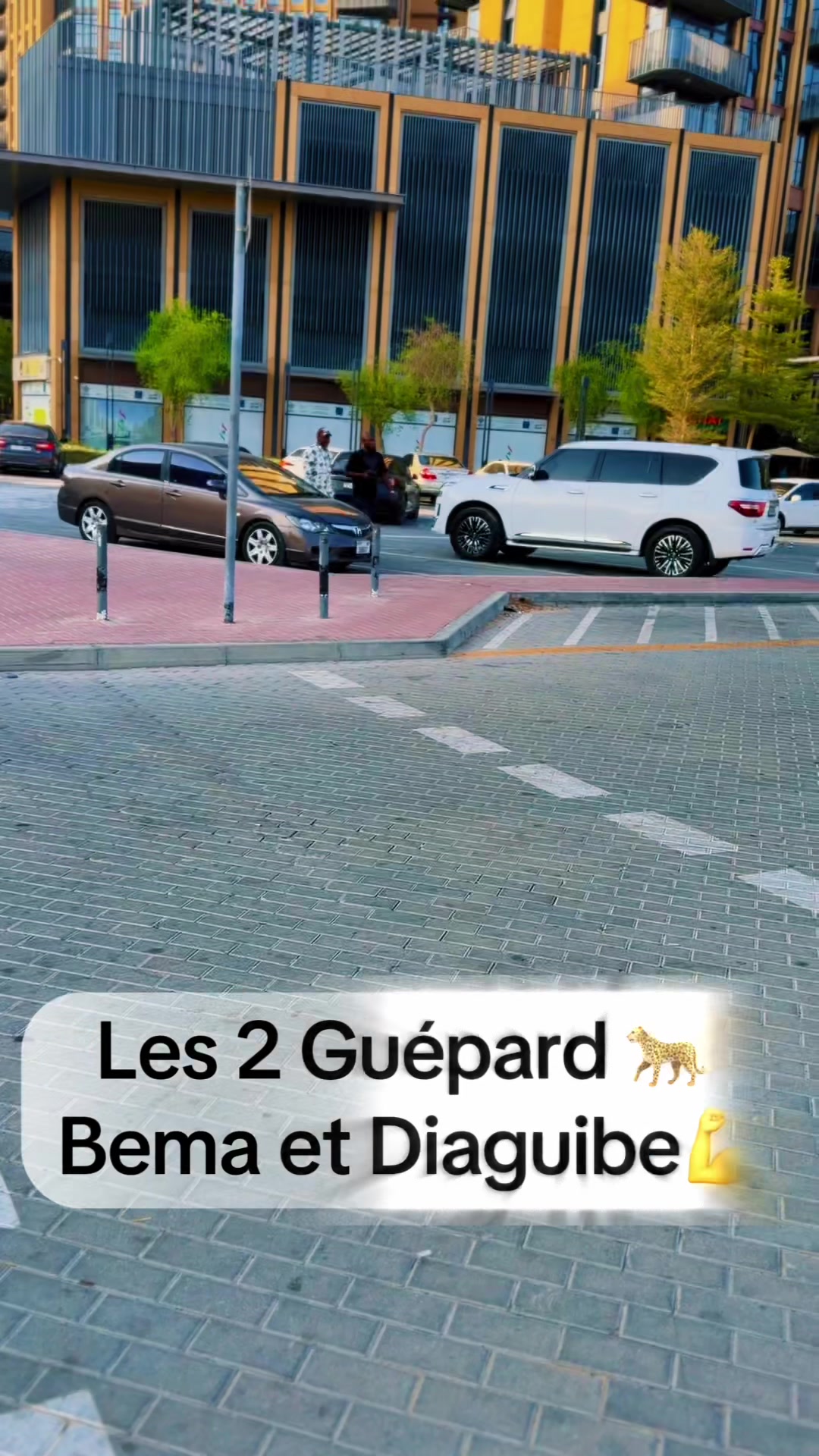 @PAP~DJO LOUP 🐺DUBAI 🇲🇱🇦🇪
