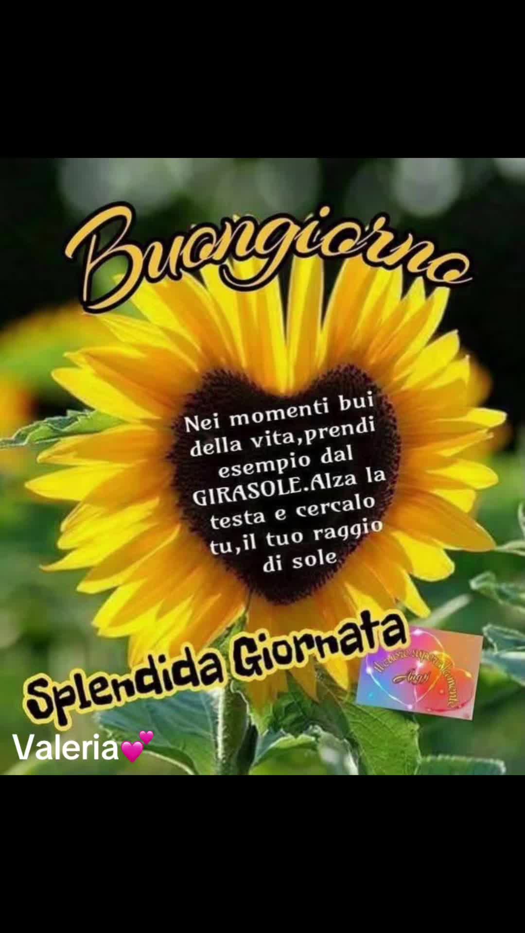 @valeriaevangelis840